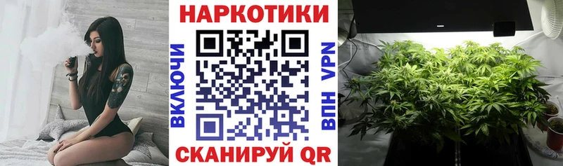 Что такое Пучеж ГАШИШ Cocaine Галлюциногенные грибы Alpha PVP КЕТАМИН Каннабис МЕФ АМФЕТАМИН