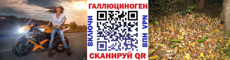 Псилоцибиновые грибы прущие грибы  Пучеж 